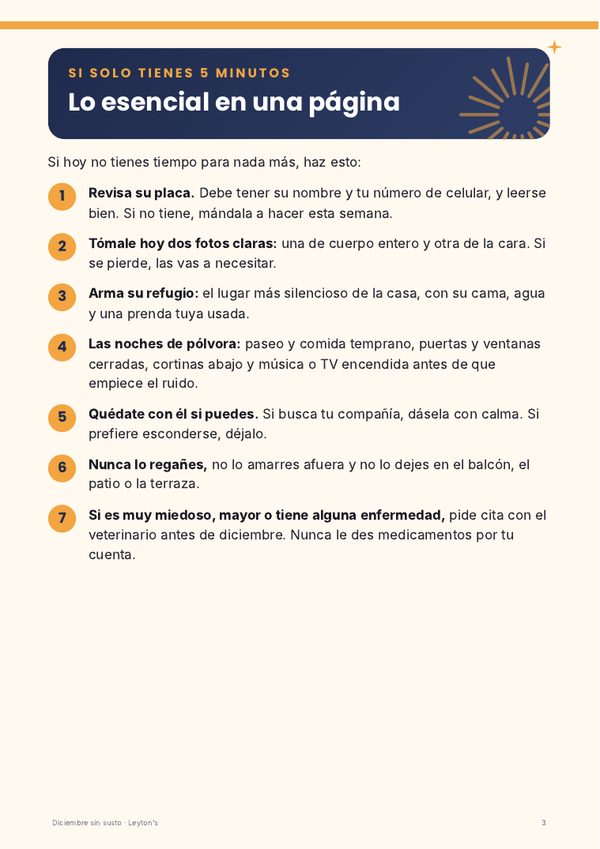 Página: lo esencial en una página